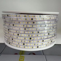 Bande LED étanche en silicone 2835 AC 220V 110V 100M/ROULEAU 1000M/ROULEAU 3000K 6000K IP65 IP68 pour extérieur