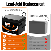 Batterie LiFePo4 prismatique au phosphate de lithium-ion 12,8V 25,6V 100Ah 200Ah 300Ah, pack de cellules LFP pour chariots élévateurs électriques et outils électriques