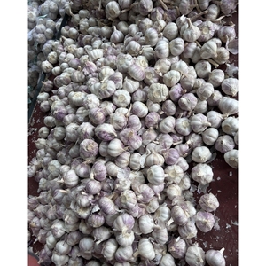 Trung Quốc Tỏi Nhà Cung Cấp Bán Buôn Chất Lượng Cao Tươi Rau Tỏi Giá Rẻ Giá Số Lượng Lớn Bán Buôn Giá Rẻ Giá - Product Image 4