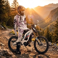 Nouvelle arrivée Surron Light Bee X E-Dirt Bike, 72V35Ah 10kW, suspension intégrale, zéro émission, motocross pour adultes