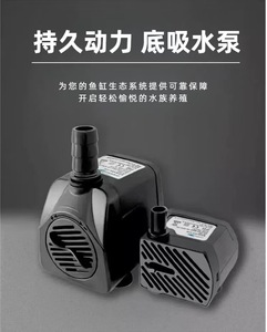 Akuarium Kaca Bening untuk Kantor atau Rumah, Akuarium Lanskap Ekologis untuk Ruang Tamu, Tersedia dalam Ukuran Besar, Sedang, dan Kecil - Product Image 6