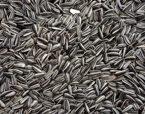 프리미엄 품질 조류 씨앗-박탈 해바라기 씨앗 제조 업체 품질 보증 전세계 공급