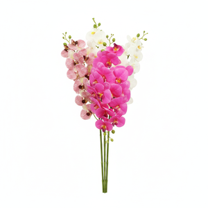 กล้วยไม้สดขนาด 6.5"X6.8"X24.5" แบบเหมือนจริง ชุด 6 ชิ้น/แพ็ค - Product Image 2