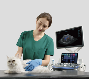 Échographie vétérinaire Mindray Vetus <span class=keywords><strong>7</strong></span> Expert - Product Image 4