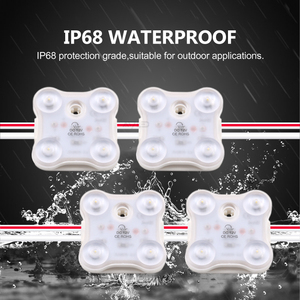 Ip68 không thấm nước SMD 2835 <span class=keywords><strong>4</strong></span> đèn <span class=keywords><strong>LED</strong></span> <span class=keywords><strong>LED</strong></span> mô-đun dải cho chiếu sáng dấu hiệu kênh Thư hộp đèn - Product Image 3