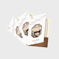 Carpeta de Papel Personalizada, Carpeta Promocional Publicitaria, Carpeta de Presentación con Solapa Elegante, Impresión de Logotipo Personalizado en CMYK