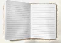 A6 Kawaii Weihnachts-Notizbücher Hochwertige Plüsch-Notizbücher Tagebuch Niedliches Journal für Schüler