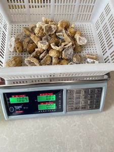 Prezzo di fabbrica all'ingrosso all'ingrosso grezzo guarigione <span class=keywords><strong>pietra</strong></span> di cristallo naturale marocco agata <span class=keywords><strong>Geode</strong></span> per la decorazione domestica - Product Image 6