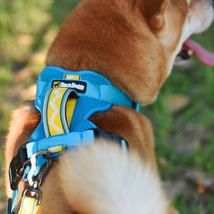 Harnais pour chien, blackdog, 2021 vêtements de luxe, respirant, adapté aux animaux de compagnie, nouvelle collection - Product Image 1