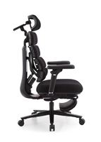 Chaise de bureau ergonomique avec dossier segmenté, entièrement inclinable pour les pauses, repose-pieds rétractable, convient pour le bureau à domicile, Liberno