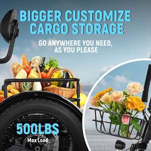 Bicicleta Eléctrica Plegable de 3 Ruedas Qlife <span class=keywords><strong>Triker</strong></span> Plus para Personas Mayores con Canasta Grande - Product Image 5