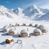 Dôme géodésique transparent en PVC sur mesure pour hôtel de glamping, hébergement de luxe dans un complexe forestier écologique