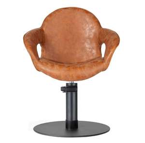 Sillón de Peluquería Princess Brown, Dorado, para Salón de Belleza y Maquillaje - Product Image 3