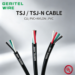 UL62 UL83 TSJ/<span class=keywords><strong>Cable</strong></span> <span class=keywords><strong>de</strong></span> aislamiento <span class=keywords><strong>de</strong></span> PVC <span class=keywords><strong>Cable</strong></span> 2/3/4 Core <span class=keywords><strong>Cable</strong></span> 18awg 16awg 14awg 12awg 10awg 8awg 6awg <span class=keywords><strong>Cable</strong></span> eléctrico - Product Image 1