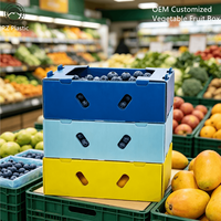 Boîte en PP ondulé pour fruits, chaîne du froid, pliable, empilable, fournisseur OEM, taille personnalisée, feuilles de plastique colorées, boîte en panneaux alvéolés PP