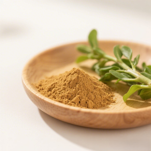 純天然オーガニックアンドログラフィス・パナケアエ抽出物食品グレードハーブパウダー（ドラム包装） - Product Image 2