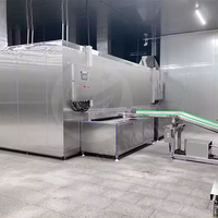 Equipo de Congelación Rápida Industrial Prémium ZSTR/Congelador Rápido IQF/Túnel de Congelación Criogénico para Alimentos
