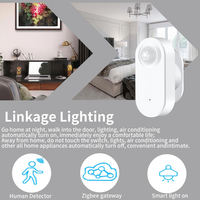 Sensor PIR Bertenaga Baterai Zigbee Deteksi Kecerahan Cahaya Sensor Gerak untuk Home Assistant HA