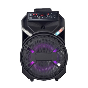 Sistema Audio Hi-Fi con Woofer da 12'', Echo Dot 5a Generazione, Potente Amplificatore, Altoparlante Audio per Esterni - Product Image 3