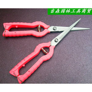 Sécateur bypass à manche allongé Taiwan Mountain Wisteria en acier inoxydable rouge 20-30 mm pour la réduction de la densité des baies de raisin et de goji - Product Image 2