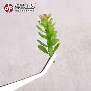 แหนบสแตนเลส Dp 12 ซม. 17 ซม. พื้นผิวกันลื่นสำหรับเครื่องมือทำสวน DIY - Product Image 3