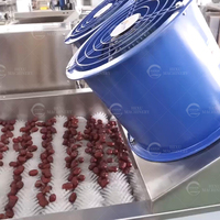 Dadels Wasmachine Jujube Borstelroller Wasmachine Jujube Palm Stomerij Polijstmachine
