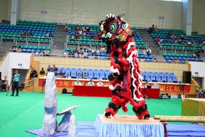 Costume de danse du lion pour <span class=keywords><strong>adulte</strong></span>, célébration du Nouvel An <span class=keywords><strong>chinois</strong></span>, mascotte, patrimoine culturel immatériel, costume de performance de danse du lion - Product Image 4