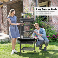 Cage à oiseaux pour perroquet et volière