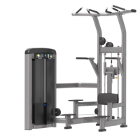 Équipement de gym professionnel haut de gamme pour usage commercial, vente en gros directe usine, machine d'assistance pour tractions et dips