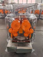 Industriële Fruitpers Oranje Juicer Sinaasappelsap Concentraat Machine