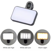 Mini Lampe d'Appoint Portable pour Selfie Téléphone Trois Couleurs Diffusion en Direct Photographie 14cm 12 LED Anneau Lumineux de Beauté en Direct avec Clip