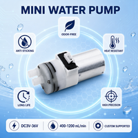 Pompe à eau à faible consommation Trade Assurance DC12V/24V OEM avec débitmètre haute précision anti-adhérent pour robot de nettoyage de vitres
