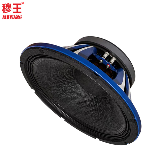 12inch Hot Sale Model Professional Speaker for Audio OEM ODM Factory Model WL12754
