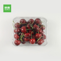 Vente en gros Boîte en plastique jetable pour la nourriture pour gâteau Chocolat Cookie Cupcake Bonbons Dessert Pâtisserie Muffin Sushi Case