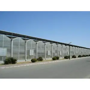 Polycarbonate Green House Greenhouses For Agriculture