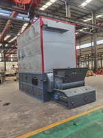 Chauffe-huile thermique horizontal à biomasse de 0,7 à 5,6 MW, à grille à chaînes, alimenté à la copeaux de bois, haute température