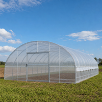 Serre tunnel agricole à simple travée en film plastique haute performance pour la culture de tomates en pépinière