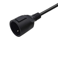 Câble d'extension de prise électrique à trois broches de 100 pieds, certifié VDE CE NF, classé IP44, pour les appareils électroménagers et l'utilisation informatique