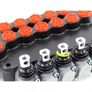 Vanne hydraulique manuelle P80-G34-G12-2OT-YW-2OT |   Fabrication OEM, sous marque privée et sur mesure disponible - Product Image 5