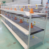 Offre Spéciale : Équipement Agricole – Système de Cage à Poulets de Chair Galvanisé Type H pour Fermes en Climat Tropical Africain