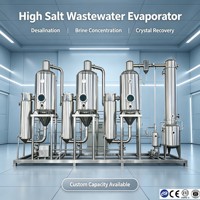 Unidad de Cristalización por Evaporación Multiefecto de Alta Eficiencia para Cloruro de Potasio, Acero Inoxidable SS304, CE ISO, para Uso Industrial