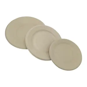 10 Inch 3 Compartment Round Plates 100% Biodegradable, Compostable,  Sugarcane, Wheat Straw Fiber, Bagasse Environmental Paper Plate 