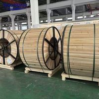 Câbles d'alimentation SinoShine YJV 4 conducteurs 120 mm² 0,6/1 kV, isolés XLPE, conducteurs en cuivre, gaine en PVC, pour câblage électrique de bâtiments