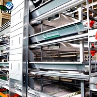 Cage à poules pondeuses de type A au design moderne, équipement avicole automatique