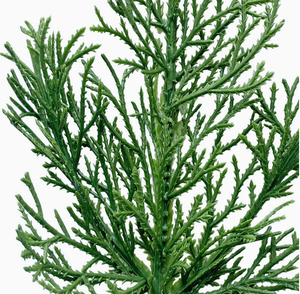 Accesorios Navideños para Plantas Acuáticas Hechos de Agujas Artificiales de <span class=keywords><strong>Pino</strong></span> Norfolk y <span class=keywords><strong>Casuarina</strong></span> - Product Image 4