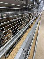 Système automatique de cage d'élevage de poulets de chair dédié à la ferme avicole à vendre