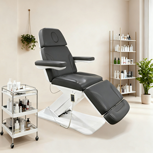Beleza Cadeira Comercial Grau CE Certificado 250kg Carga Capacidade Silenciosa Longa Vida Motor Profissional Salão Mobília - Product Image 2