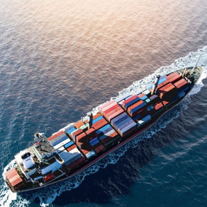 Agente confiable de logística de envío marítimo DDP de China a Canadá/Turquía/EE. UU./<span class=keywords><strong>India</strong></span> Servicio gratuito de almacenamiento y expreso LCL - Product Image 2