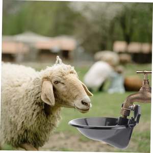 Corrosion-Resistant Steel Sheep Water Bowl with Copper Nipple - Hygienic, Leak-Proof Livestock <strong>Watering</strong> System - Product Image 5