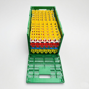 240 có thể gập lại đóng mở <span class=keywords><strong>Stackable</strong></span> nhựa Trứng Thùng đục lỗ lưới lưu trữ Thùng Thiết kế giỏ cho trứng lưu trữ Giao thông vận tải - Product Image 1
